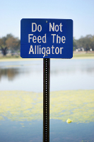 Do not feed the alligators