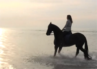 Girl riding Friesian horse