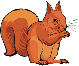 Post image for Lessons from Squirrels