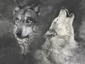 Two Wolves